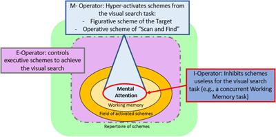 I can look for it! Modulation of a concurrent Visual Working Memory task in Visual Search in development